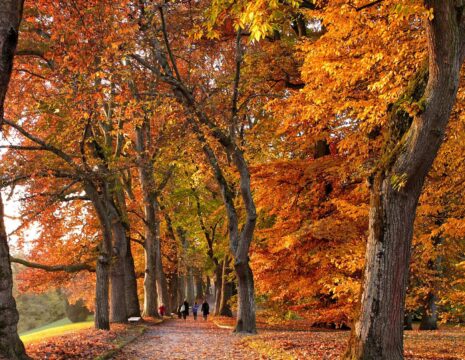 Autumn in Birmingham