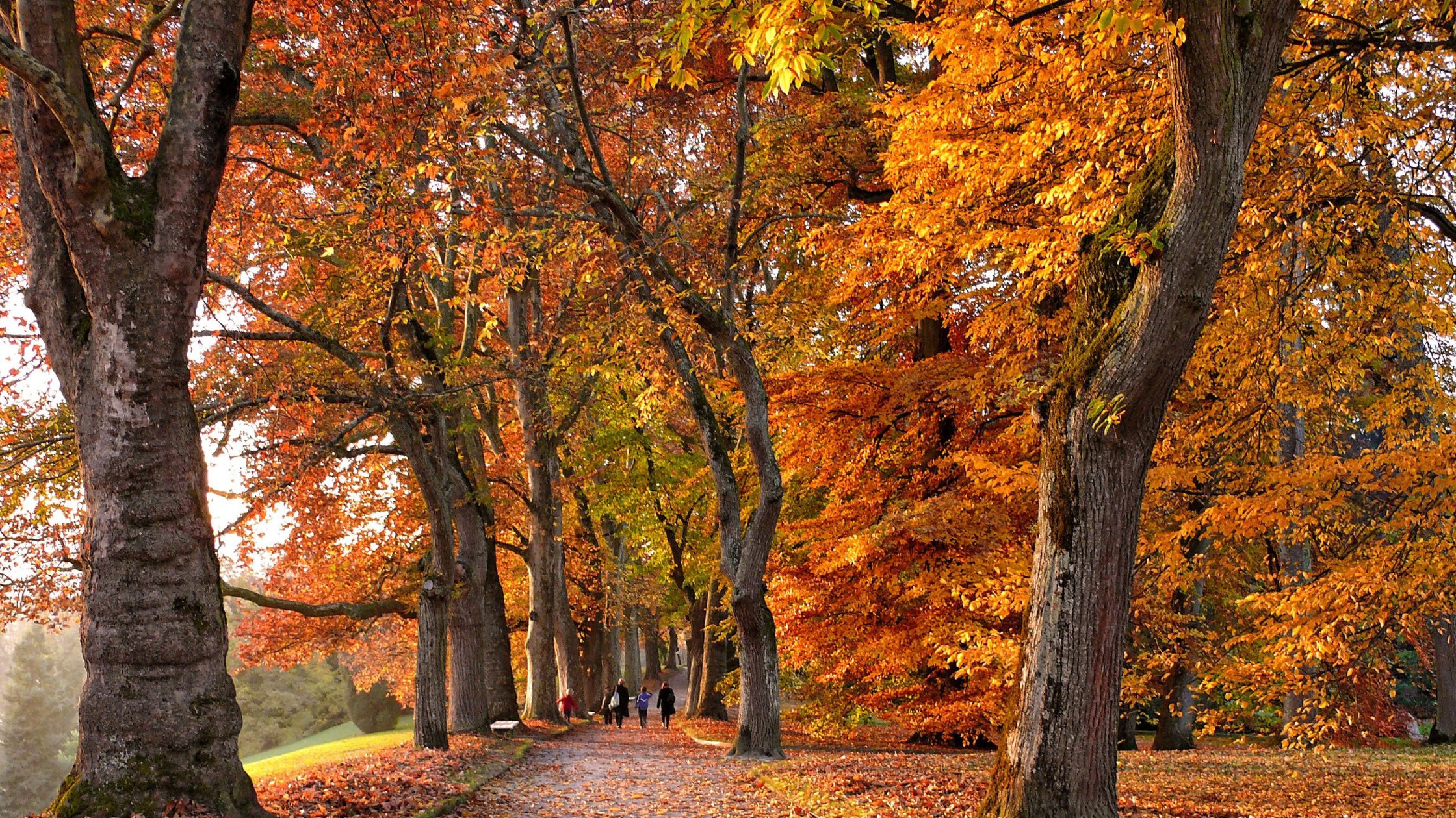 Autumn in Birmingham